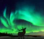 aurores boreales norvege