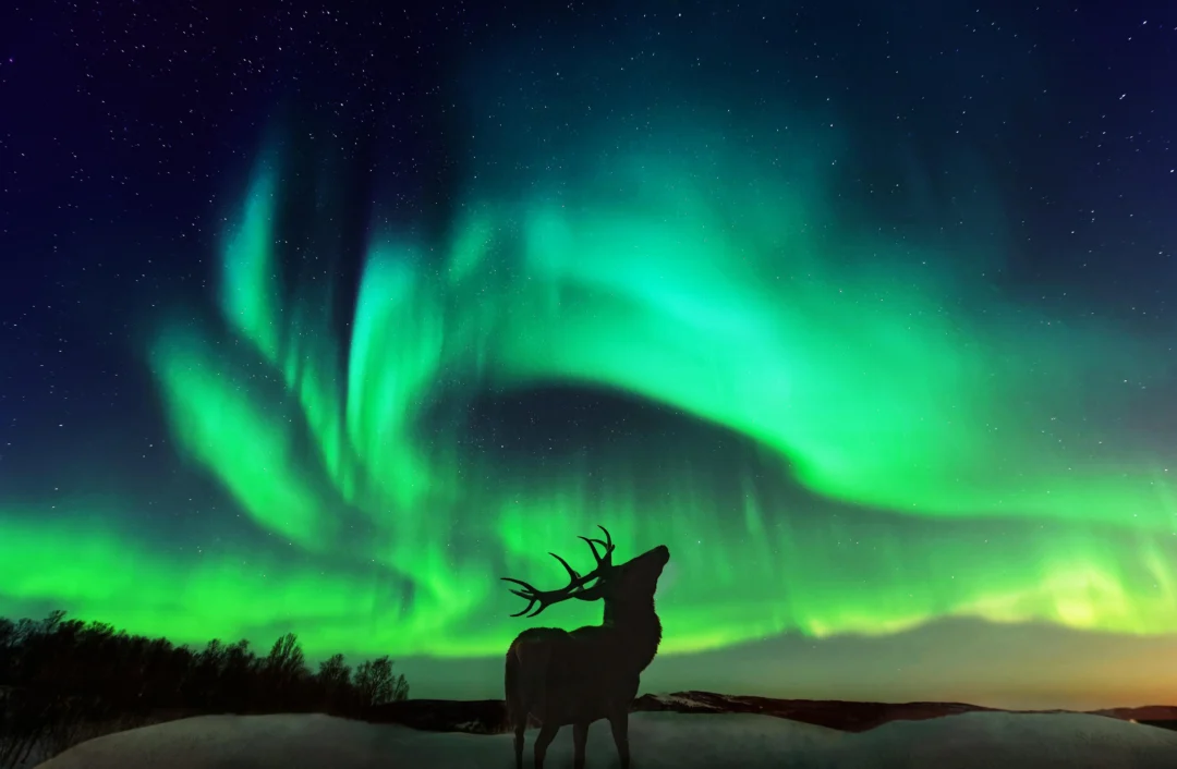 aurores boreales norvege